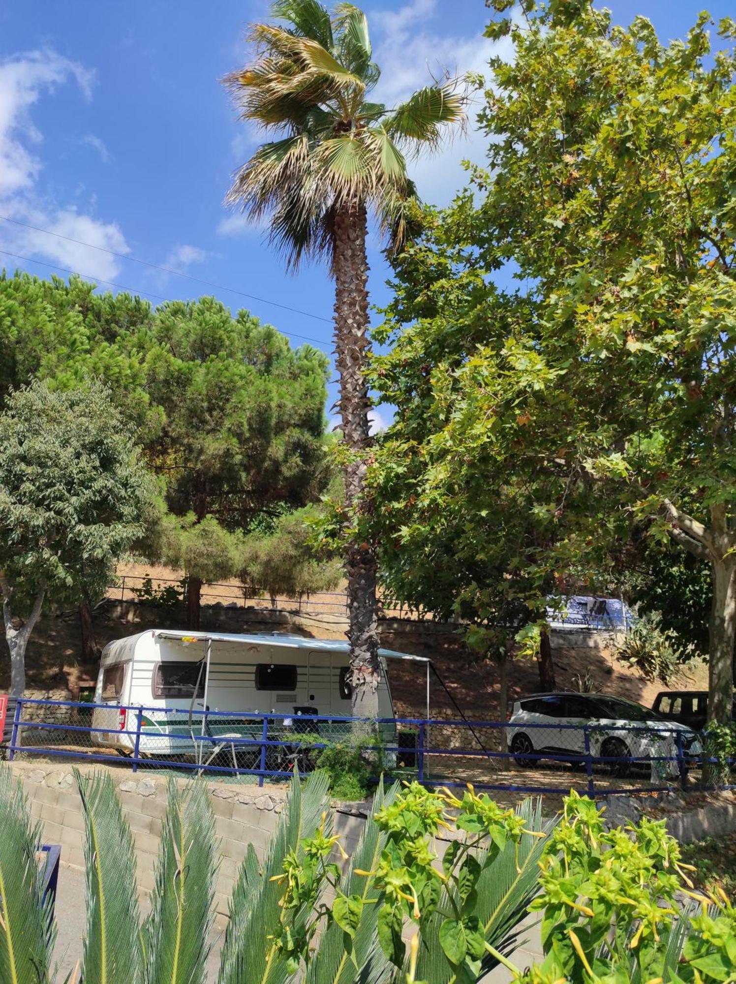 Camping Roca Grossa Калелья Экстерьер фото
